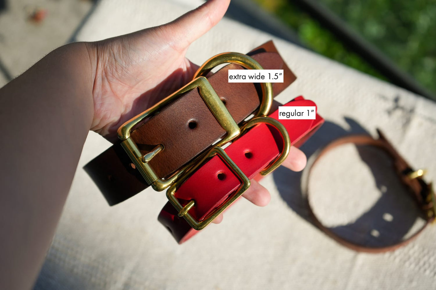 The Extra Wide Dog Collar