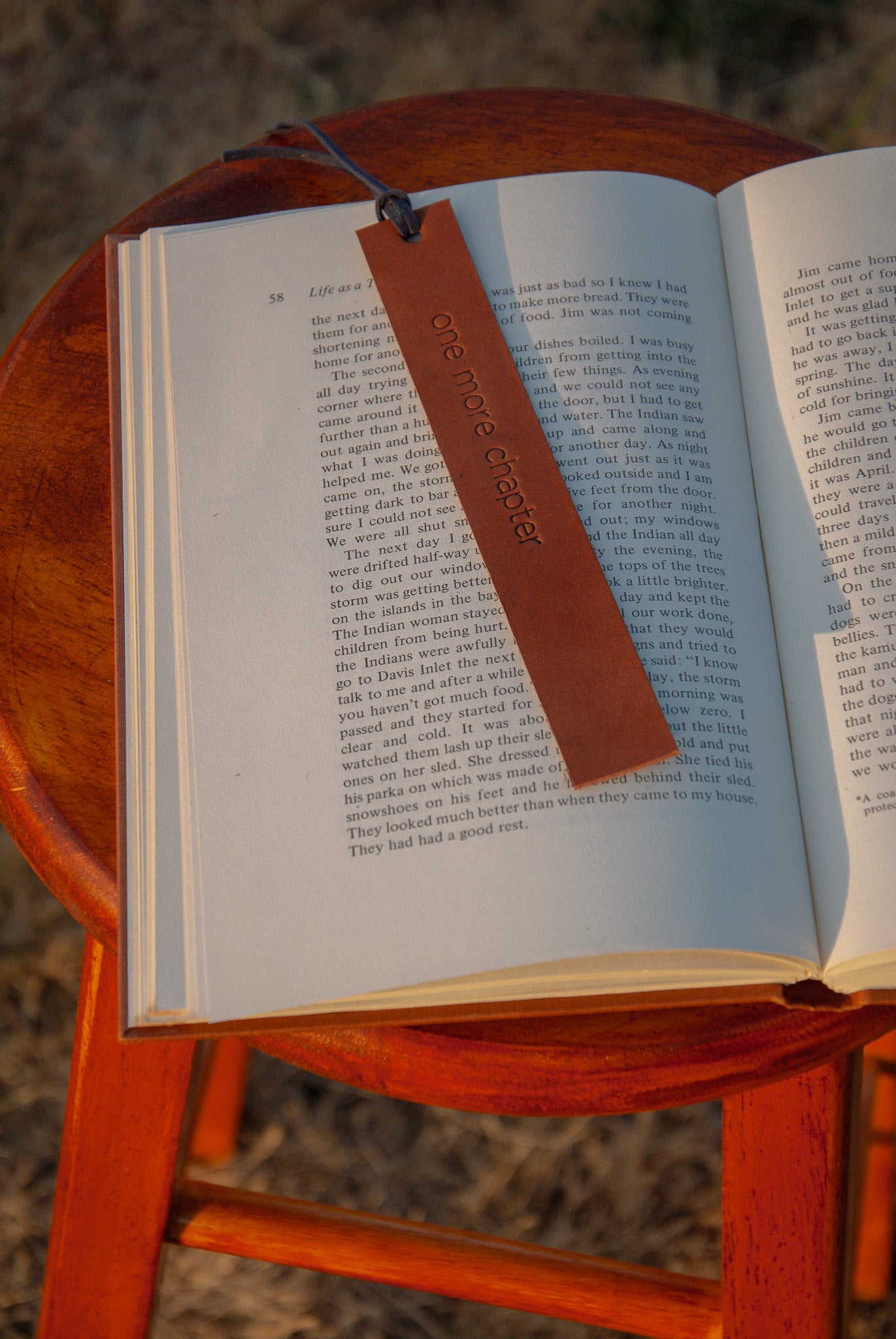 The Bookmark