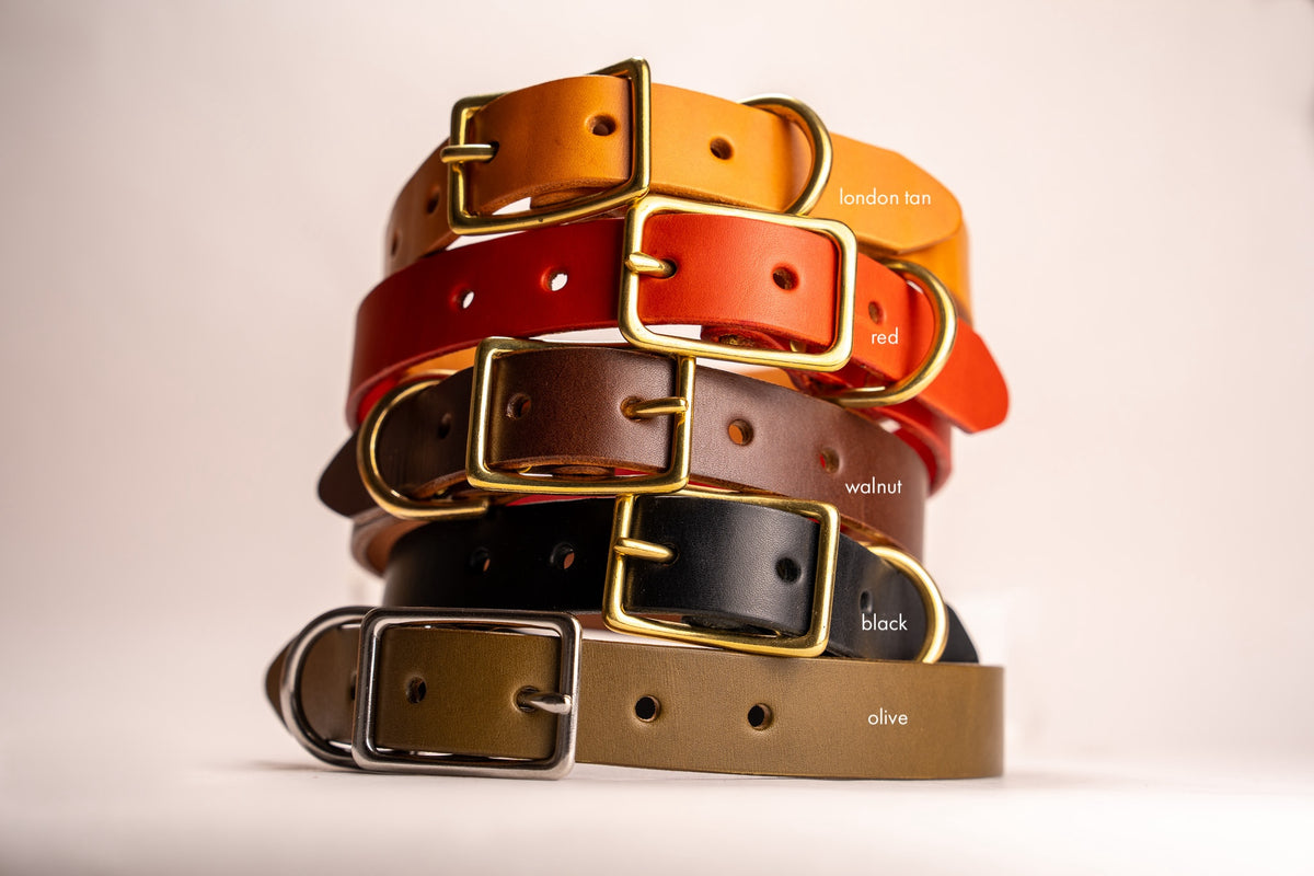 The Extra Wide Dog Collar