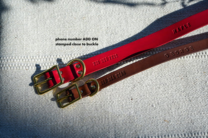 The Extra Wide Dog Collar