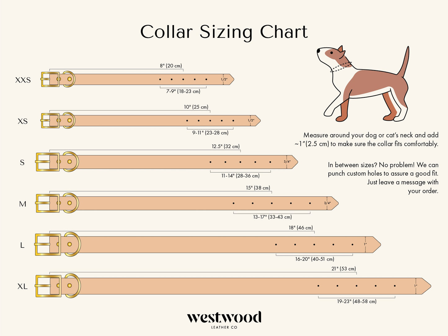 The Extra Wide Dog Collar
